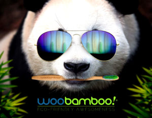 BigPanda_WooBamboo